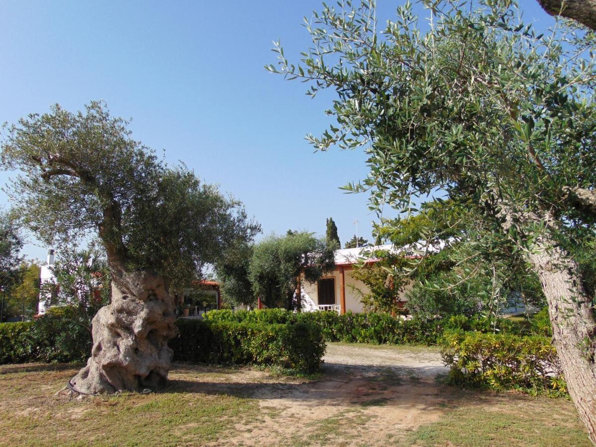 Agriturismo Villa Tommaso トッレ・デル・オルソ エクステリア 写真