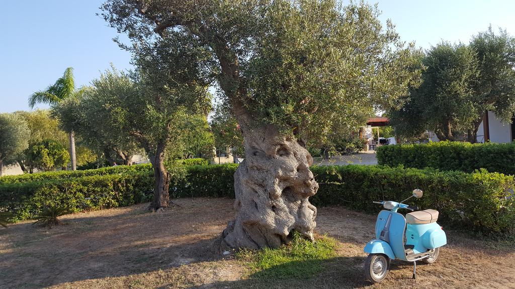 Agriturismo Villa Tommaso トッレ・デル・オルソ エクステリア 写真